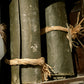 York News Times Bound Volumes (1904-2006)